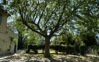 Table ronde : Inondations en Méditerranée, des phénomènes extrêmes aux enjeux de l’adaptation du territoire et des hommes 