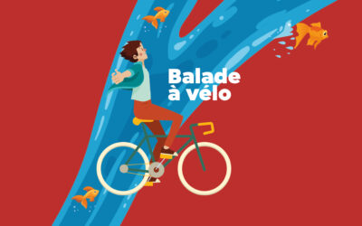 Balade à vélo sur « Du quai d’Aramon à la digue du Rhône »