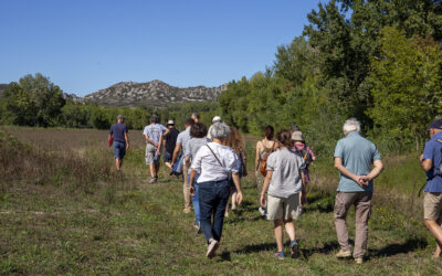 Visite de la zone humide des Paluns