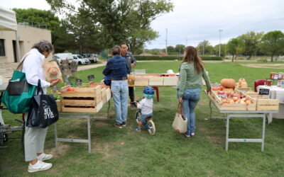 Marché producteurs locaux